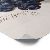 ヴィンテージ植物性ポスター美しいコンコードブドウ ポスター (角)