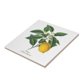 ヴィンテージ植物性レモンフルーツブロッサム葉 タイル (側面)