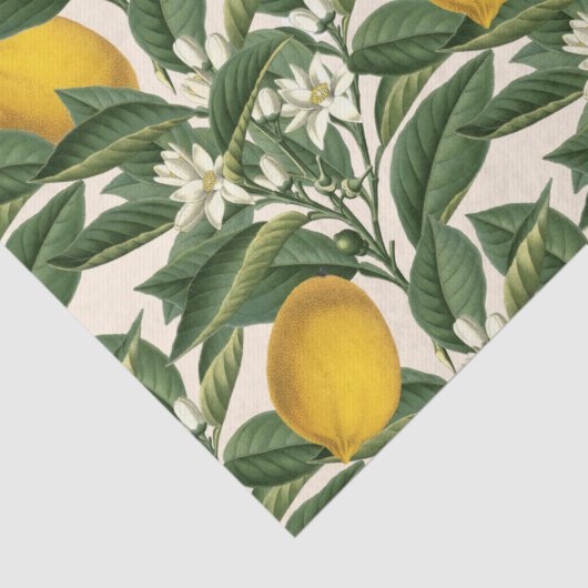ヴィンテージ植物性レモンフルーツ花模様 薄葉紙 (詳細)