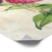 ヴィンテージ植物性二重花パープル《植物》百日草 ポスター (角)