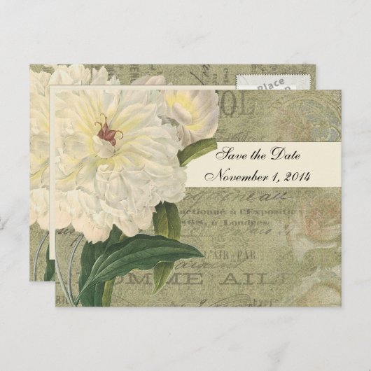 ヴィンテージ植物性白い牡丹は日付を保存 案内ポストカード (正面/裏面)