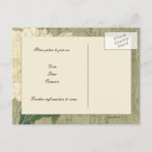 ヴィンテージ植物性白い牡丹は日付を保存 案内ポストカード (裏面)