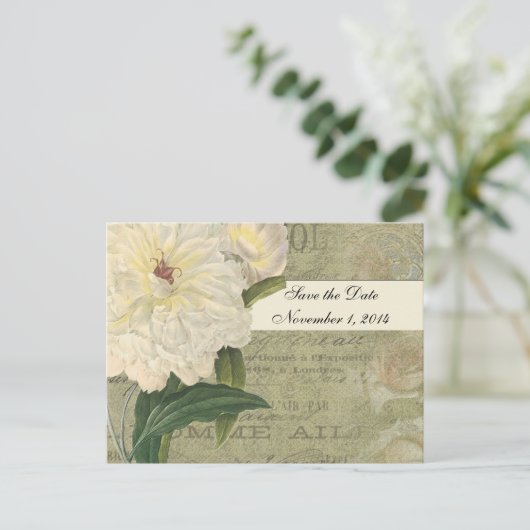 ヴィンテージ植物性白い牡丹は日付を保存 案内ポストカード (スタンド正面)