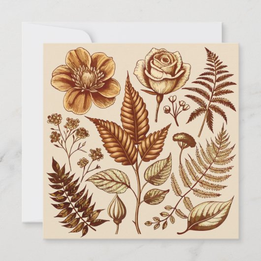 ヴィンテージ植物性至福 (正面)