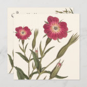 ヴィンテージ植物性誕生日レディーガーデナー 招待状 (正面/裏面)