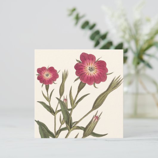 ヴィンテージ植物性誕生日レディーガーデナー 招待状 (スタンド正面)