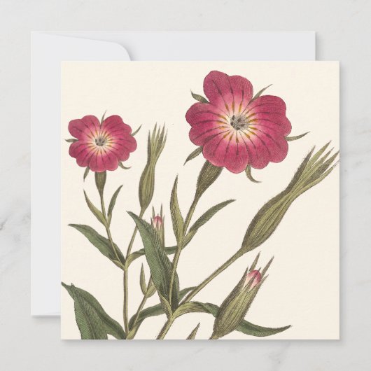 ヴィンテージ植物性誕生日レディーガーデナー 招待状 (正面)