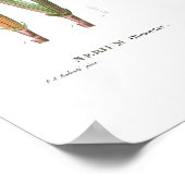 ヴィンテージ植物性「オレアンダー」レッドテ ポスター (角)