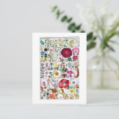 ヴィンテージ植物採集用葉書 ポストカード (スタンド正面)