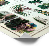 ヴィンテージ植物教育図 ポスター (角)