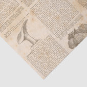 ヴィンテージ植物新聞社のデコページ 薄葉紙 (詳細)
