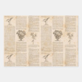 ヴィンテージ植物新聞 ラッピングペーパーシート (正面3)