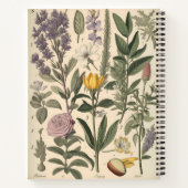 ヴィンテージ植物構図ノート ノートブック (裏面)