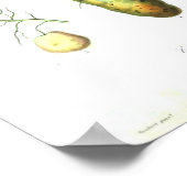 ヴィンテージ植物用ポスター – 根菜類 ポスター (角)