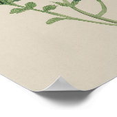 ヴィンテージ植物用ポスター – 水彩花 ポスター (角)