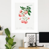 ヴィンテージ植物用ランブラーバラポスター ポスター (ホームオフィス)