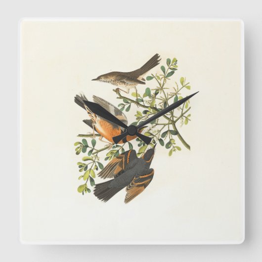 ヴィンテージ植物画の鳥イラスト スクエアウォール  スクエア壁時計 (正面)