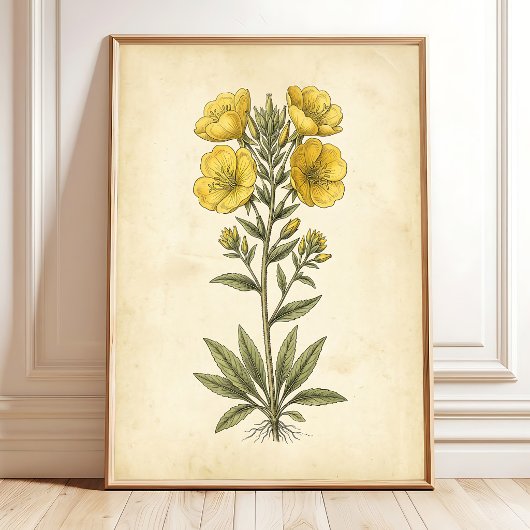 ヴィンテージ植物画ウォールアートプリント ポスター