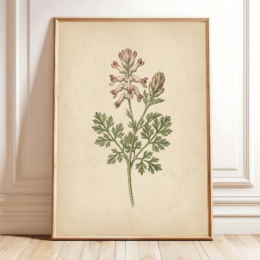 ヴィンテージ植物画ウォールアート ボヘミアン スタイル ポスター