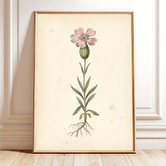 ヴィンテージ植物画ウォールプリントギャラリー ポスター