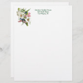 ヴィンテージ植物画ページ レターヘッド (正面/裏面)