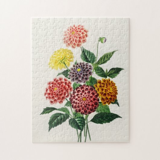 ヴィンテージ植物画 ダリア 250ピース ジグソーパズル (縦)