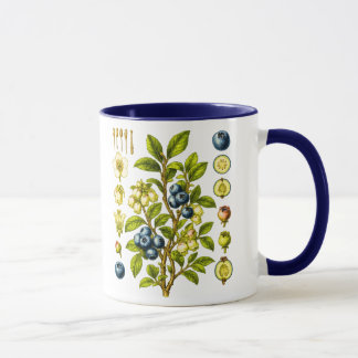 ヴィンテージ植物画 ブルーベリーのイラスト マグカップ
