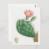 ヴィンテージ植物画 ポストカード (正面/裏面)