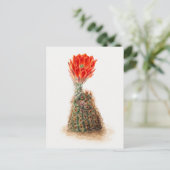 ヴィンテージ植物画 ポストカード (スタンド正面)