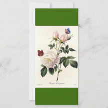 ヴィンテージ植物画 白バラの花 しおり