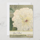 ヴィンテージ植物白牡丹結婚式招待状 招待状 (裏面)