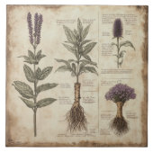 ヴィンテージ植物科学図草ラベンダー タイル (正面)