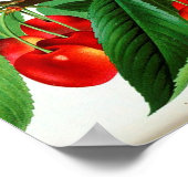 ヴィンテージ植物紙ポスター – さくらんぼ ポスター (角)