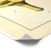 ヴィンテージ植物紙ポスター – ブリティッシュ・キノコ ポスター (角)