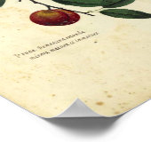 ヴィンテージ植物紙ポスター – プラム ポスター (角)