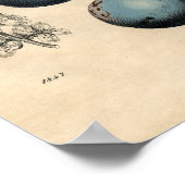 ヴィンテージ植物紙ポスター – プラム ポスター (角)