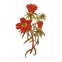 ヴィンテージ植物紙