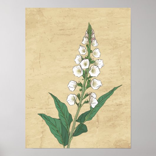 ヴィンテージ植物線スケッチウォールアートポスター ポスター (正面)