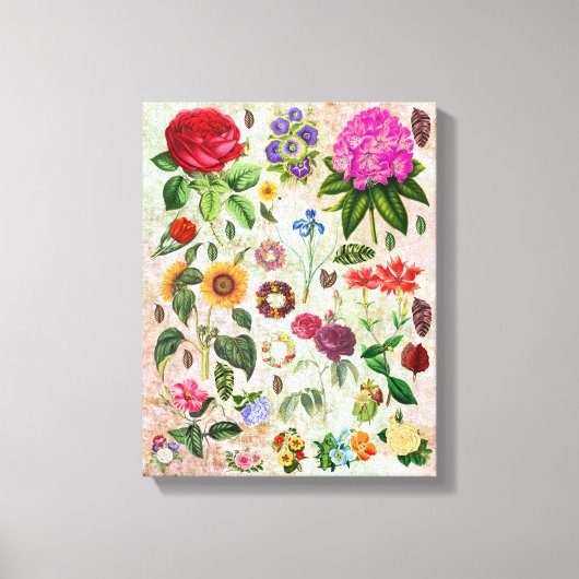 ヴィンテージ植物花イラストレーション自然 キャンバスプリント (正面)