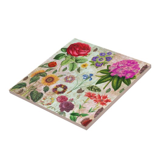 ヴィンテージ植物花イラストレーション自然 タイル (側面)