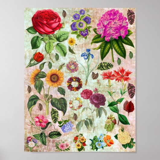 ヴィンテージ植物花イラストレーション自然 ポスター (正面)