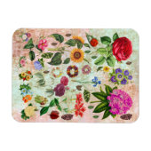 ヴィンテージ植物花イラストレーション自然 マグネット (横)