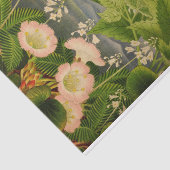 ヴィンテージ植物花本イラストレーション 薄葉紙 (詳細)