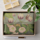 ヴィンテージ植物花本イラストレーション 薄葉紙 (ギフト)