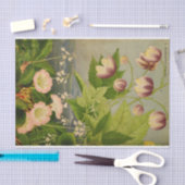 ヴィンテージ植物花本イラストレーション 薄葉紙 (クラフト)