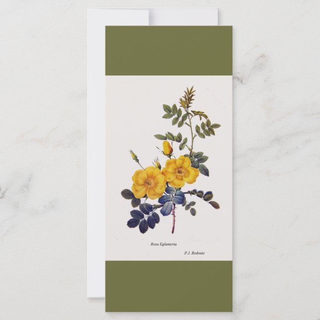 ヴィンテージ植物芸術イエローローズ花ブックマーク (正面)