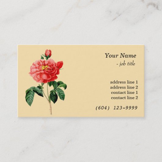 ヴィンテージ植物芸術赤バラ花黄 名刺 (正面)