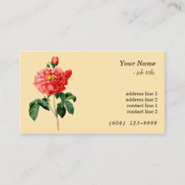ヴィンテージ植物芸術赤バラ花黄 名刺