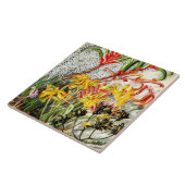 ヴィンテージ植物芸術、西オーストラリアの花 タイル (側面)