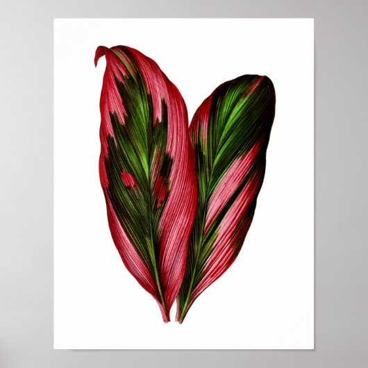 ヴィンテージ植物葉プリント ポスター (正面)